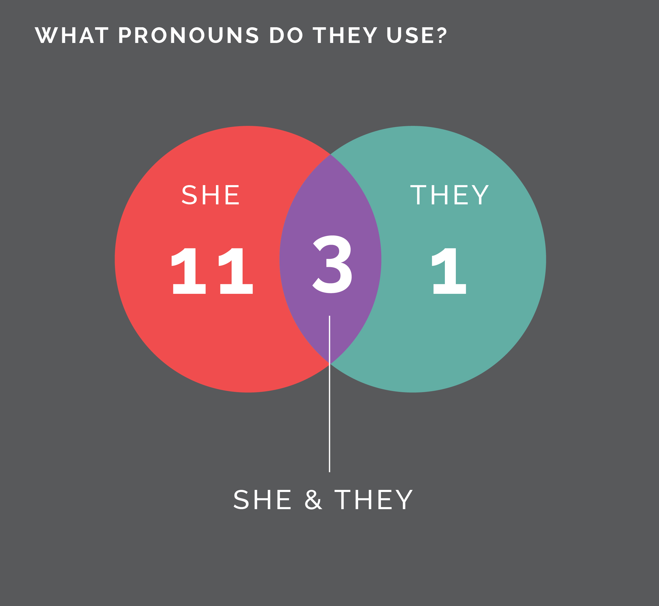data visualization for preferred pronouns.